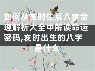 如何从亥时生辰八字命理解析大全中解读命运密码,亥时出生的八字是什么