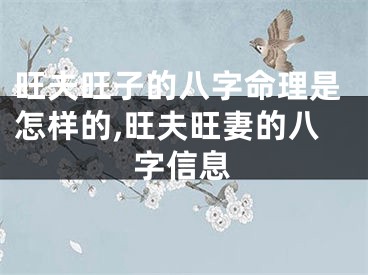 旺夫旺子的八字命理是怎样的,旺夫旺妻的八字信息