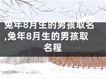 兔年8月生的男孩取名,兔年8月生的男孩取名程