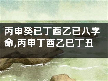 丙申癸已丁酉乙已八字命,丙申丁酉乙巳丁丑