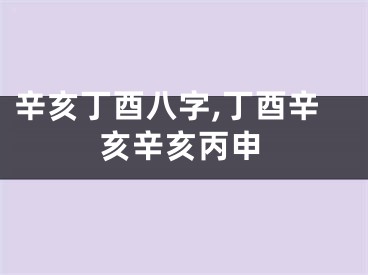 辛亥丁酉八字,丁酉辛亥辛亥丙申