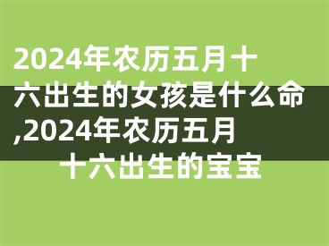 2024年农历五月十六出生的女孩是什么命,2024年农历五月十六出生的宝宝