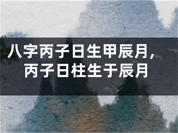 八字丙子日生甲辰月,丙子日柱生于辰月