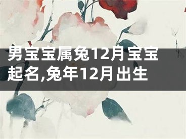 男宝宝属兔12月宝宝起名,兔年12月出生