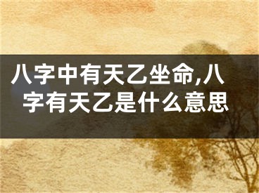 八字中有天乙坐命,八字有天乙是什么意思