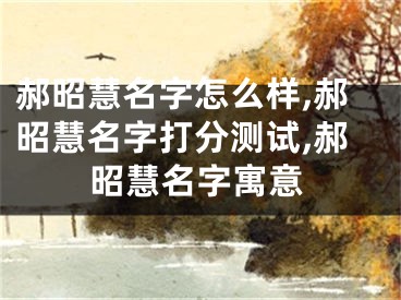 郝昭慧名字怎么样,郝昭慧名字打分测试,郝昭慧名字寓意