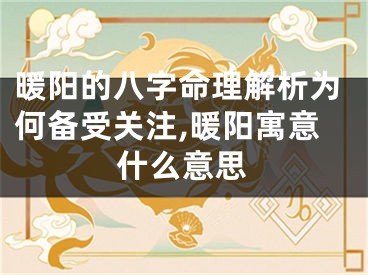 暖阳的八字命理解析为何备受关注,暖阳寓意什么意思