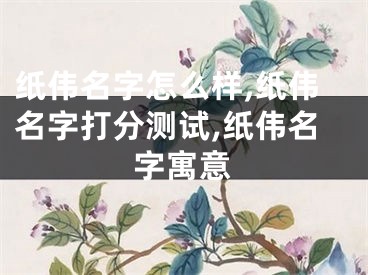 纸伟名字怎么样,纸伟名字打分测试,纸伟名字寓意