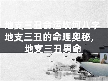 地支三丑命运坎坷八字地支三丑的命理奥秘,地支三丑男命