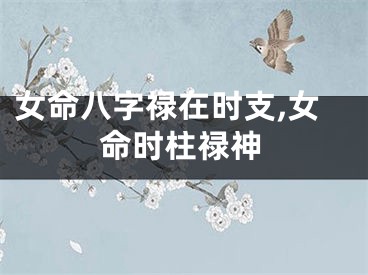 女命八字禄在时支,女命时柱禄神