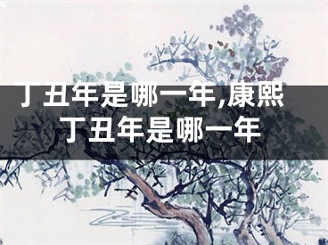 丁丑年是哪一年,康熙丁丑年是哪一年