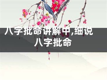 八字批命讲解中,细说八字批命