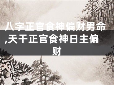 八字正官食神偏财男命,天干正官食神日主偏财
