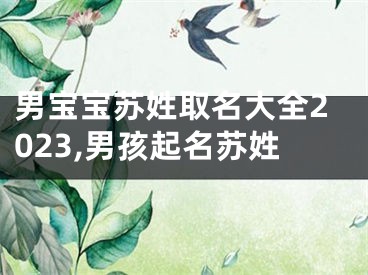 男宝宝苏姓取名大全2023,男孩起名苏姓