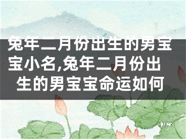 兔年二月份出生的男宝宝小名,兔年二月份出生的男宝宝命运如何