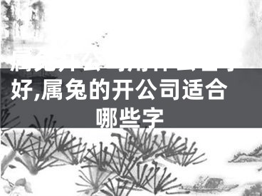 属兔开公司用什么名字好,属兔的开公司适合哪些字