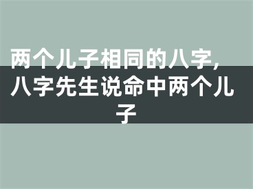 两个儿子相同的八字,八字先生说命中两个儿子