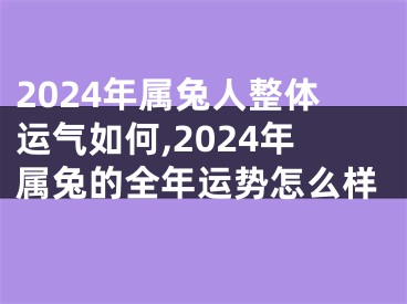 2024年属兔人整体运气如何,2024年属兔的全年运势怎么样