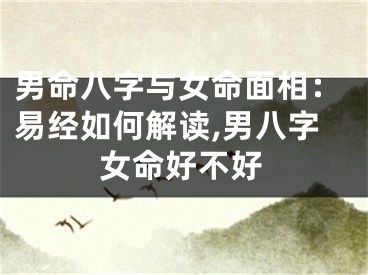 男命八字与女命面相：易经如何解读,男八字女命好不好