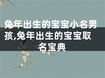 兔年出生的宝宝小名男孩,兔年出生的宝宝取名宝典