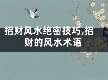 招财风水绝密技巧,招财的风水术语