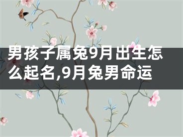 男孩子属兔9月出生怎么起名,9月兔男命运