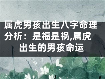 属虎男孩出生八字命理分析：是福是祸,属虎出生的男孩命运