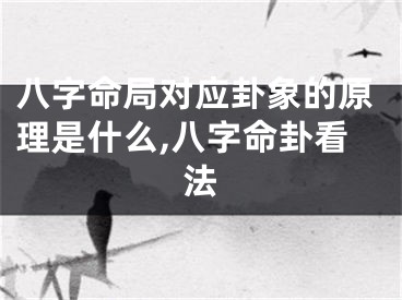 八字命局对应卦象的原理是什么,八字命卦看法