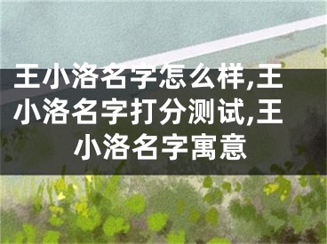 王小洛名字怎么样,王小洛名字打分测试,王小洛名字寓意