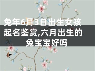 兔年6月3日出生女孩起名鉴赏,六月出生的兔宝宝好吗