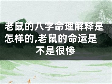 老鼠的八字命理解释是怎样的,老鼠的命运是不是很惨
