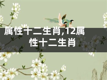属性十二生肖,12属性十二生肖
