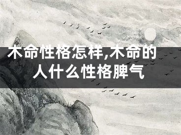 木命性格怎样,木命的人什么性格脾气