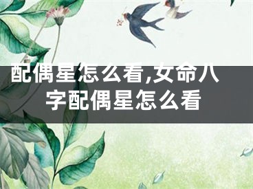 配偶星怎么看,女命八字配偶星怎么看