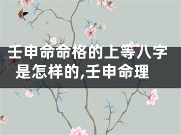壬申命命格的上等八字是怎样的,壬申命理