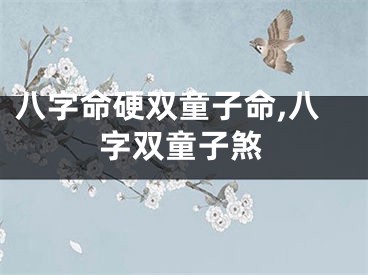 八字命硬双童子命,八字双童子煞
