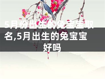 5月份出生的兔宝宝取名,5月出生的兔宝宝好吗