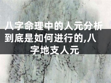 八字命理中的人元分析到底是如何进行的,八字地支人元