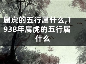 属虎的五行属什么,1938年属虎的五行属什么
