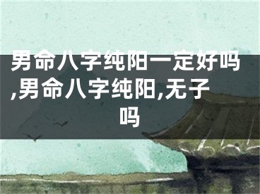 男命八字纯阳一定好吗,男命八字纯阳,无子吗