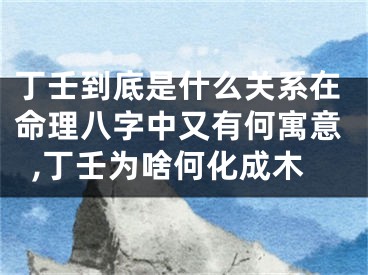 丁壬到底是什么关系在命理八字中又有何寓意,丁壬为啥何化成木
