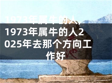1973年属牛的人,1973年属牛的人2025年去那个方向工作好