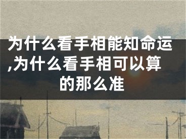 为什么看手相能知命运,为什么看手相可以算的那么准