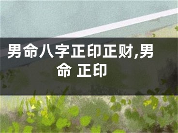 男命八字正印正财,男命 正印