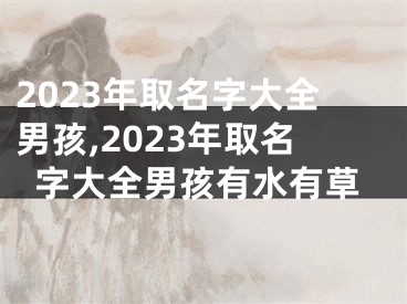 2023年取名字大全男孩,2023年取名字大全男孩有水有草