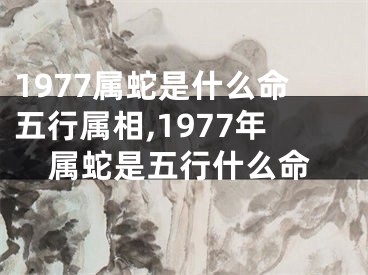 1977属蛇是什么命五行属相,1977年属蛇是五行什么命