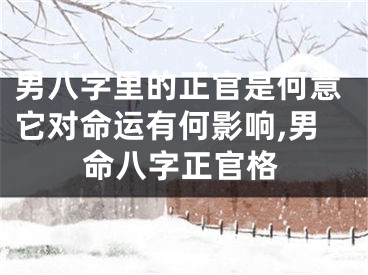 男八字里的正官是何意它对命运有何影响,男命八字正官格