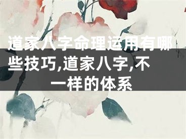 道家八字命理运用有哪些技巧,道家八字,不一样的体系