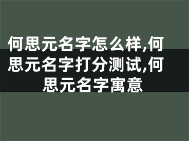 何思元名字怎么样,何思元名字打分测试,何思元名字寓意