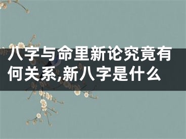 八字与命里新论究竟有何关系,新八字是什么